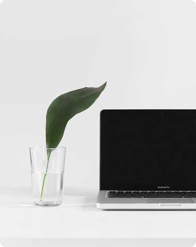 flower + Notebook